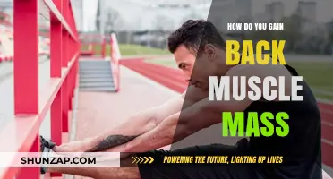Rebuilding Muscle Mass: Proven Strategies for Effective Recovery and Growth