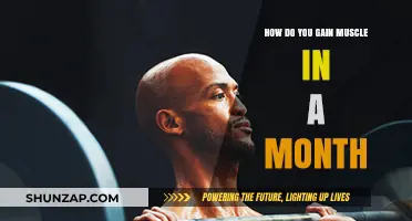 Effective Strategies to Build Muscle Mass in Just One Month