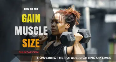 Effective Strategies to Build Muscle Size and Strength Naturally