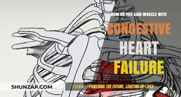 Building Muscle Safely with Congestive Heart Failure: Expert Tips and Strategies