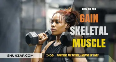 Effective Strategies to Build and Strengthen Skeletal Muscle Mass