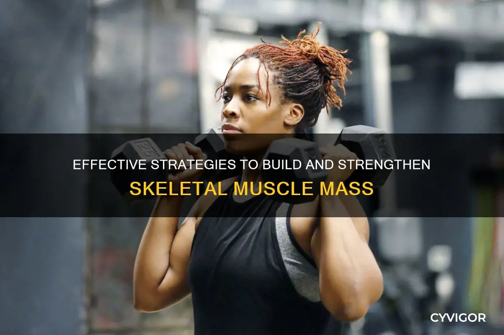 how do you gain skeletal muscle