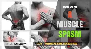 Understanding Muscle Spasms: Causes, Prevention, and Relief