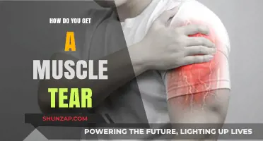 Understanding Muscle Tears: Causes, Symptoms, and Prevention Tips
