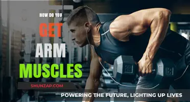 Sculpting Strong Arms: A Guide to Building Muscle