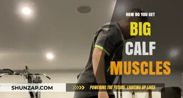 Sculpting Strong Calves: A Guide to Building Impressive Lower Leg Muscles