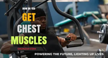 Sculpting Strength: A Guide to Building Powerful Chest Muscles