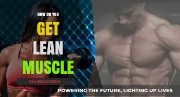 Sculpting Lean Muscle: A Comprehensive Guide to Achieving Your Fitness Goals