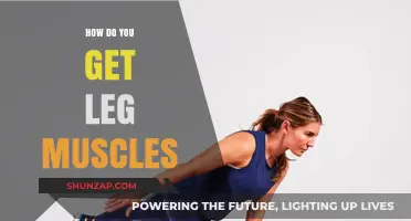 Building Strong Legs: A Guide to Developing Powerful Leg Muscles