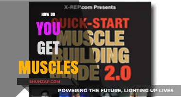 Building Strength: A Guide to Gaining Muscle Mass Naturally