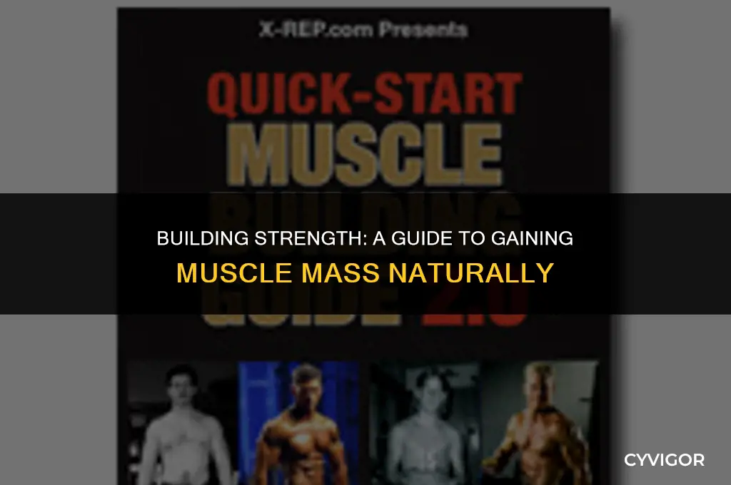 how do you get muscles