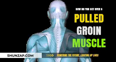 Effective Recovery Tips for Healing a Pulled Groin Muscle Fast
