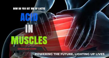 Banish Muscle Soreness: Effective Ways to Reduce Lactic Acid Buildup