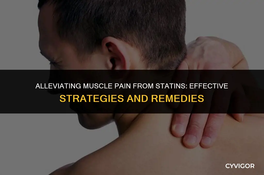 how do you get rid of muscle pain from statins