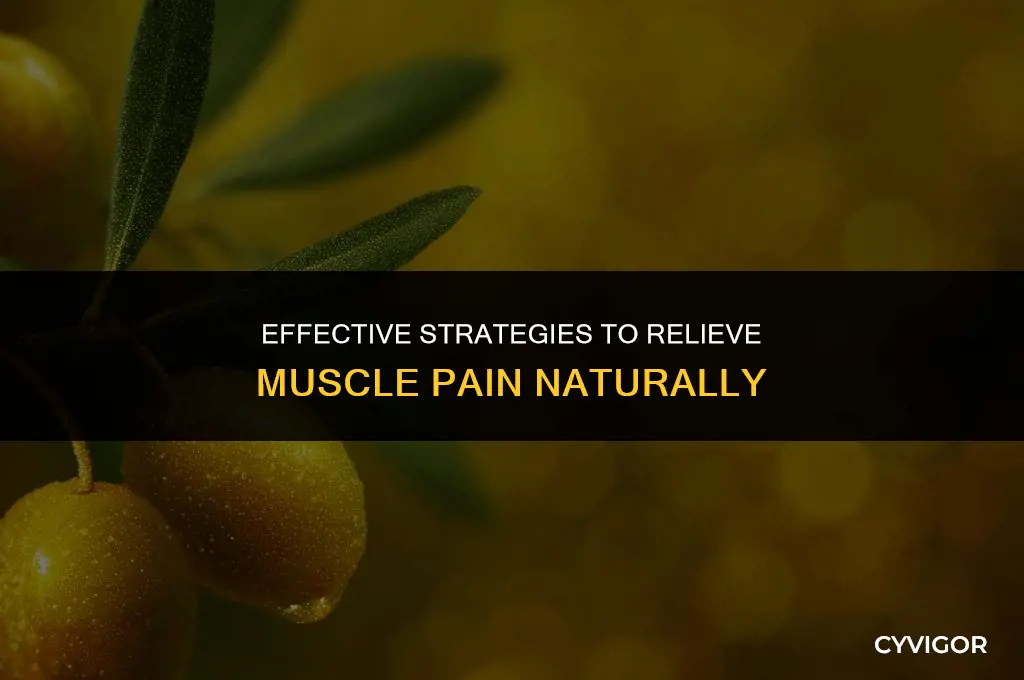 how do you get rid of muscle pain