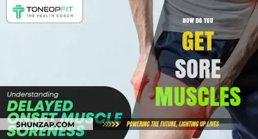 Understanding Muscle Soreness: Causes, Prevention, and Relief