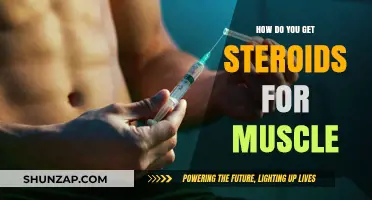 Unlocking Muscle Growth: A Guide to Safely Obtaining Steroids