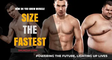Maximize Muscle Growth: Proven Strategies for Rapid Size Gains