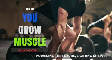 Effective Strategies to Build Muscle Mass and Strength Naturally