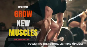 Unlocking Muscle Growth: Proven Strategies for Building New Muscles