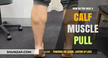 Effective Recovery Tips for Healing a Pulled Calf Muscle Fast