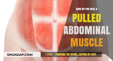 Healing a Pulled Abdominal Muscle: Effective Recovery Tips and Strategies