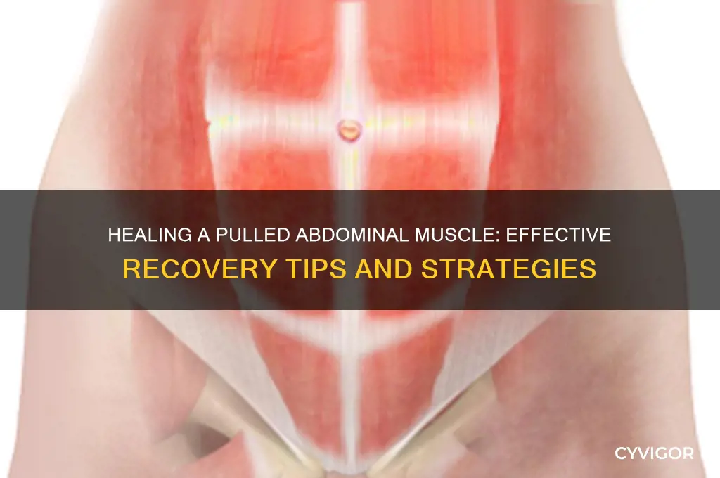 how do you heal a pulled abdominal muscle