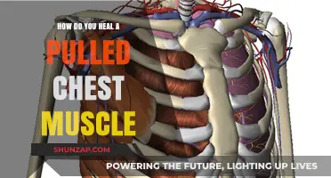 Effective Healing Strategies for Pulled Chest Muscles: Recovery Tips and Remedies