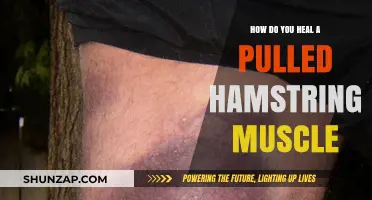 Effective Healing Strategies for Pulled Hamstring Muscle Recovery