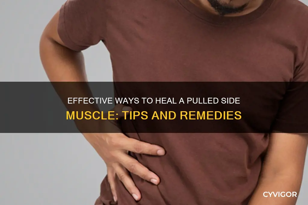 how do you heal a pulled muscle in your side