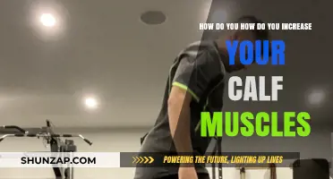 Effective Strategies to Grow Your Calf Muscles Fast