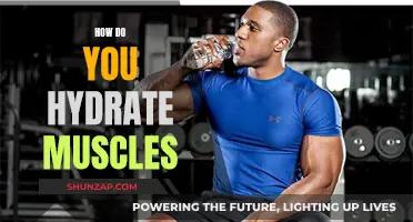 Hydrating Muscles: The What, Why, and How of Muscle Hydration