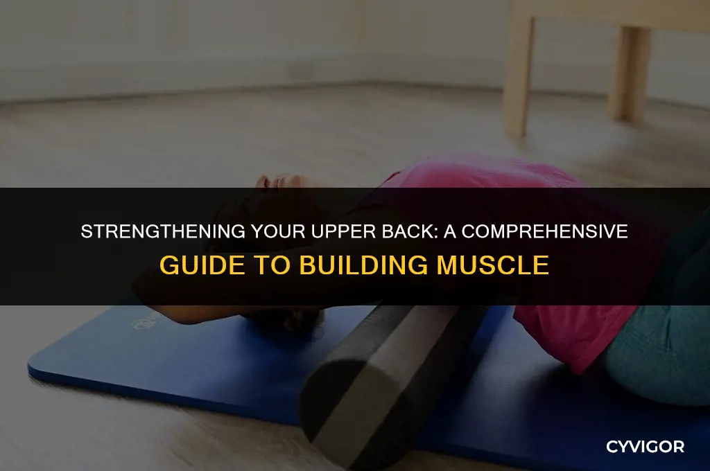 how do you increase back upper muscles