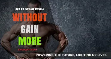 Maintain Muscle Mass Without Bulk: Effective Strategies for Lean Strength
