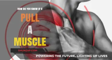 Signs You've Pulled a Muscle: Identifying Symptoms and Next Steps
