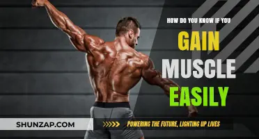 Signs You're a Natural Muscle Builder: Easy Gains Explained