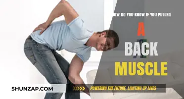 Signs You've Pulled a Back Muscle: Identifying Symptoms and Relief Tips