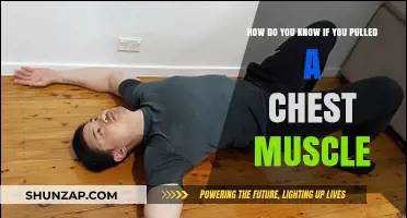 Pulled Chest Muscle: Symptoms, Causes, and Recovery Tips Explained