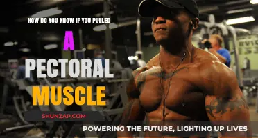 Signs You've Pulled a Pectoral Muscle: Symptoms and Diagnosis Tips