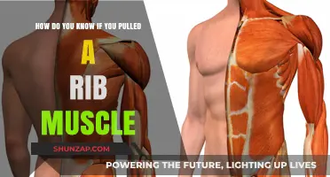 Pulled Rib Muscle: Symptoms, Causes, and When to Seek Help
