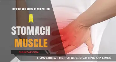 Identifying a Pulled Stomach Muscle: Symptoms and Diagnosis Guide