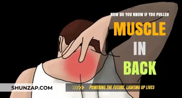 Pulled Back Muscle: Signs, Symptoms, and When to Seek Help