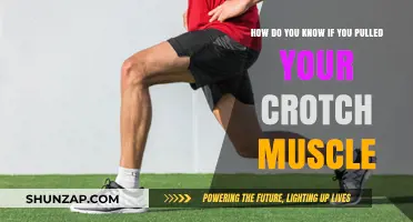 Pulled Crotch Muscle: Symptoms, Causes, and Recovery Tips Explained