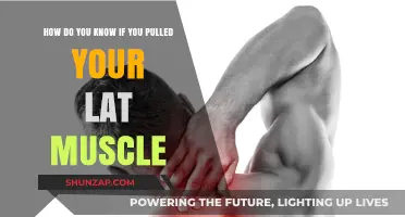 Pulled Lat Muscle: Symptoms, Causes, and Recovery Tips Explained