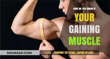 Signs You're Gaining Muscle: Tracking Progress and Visible Results