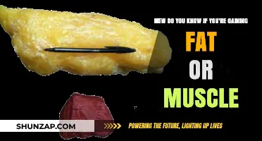 Fat or Muscle: Decoding Your Body's Transformation Signs