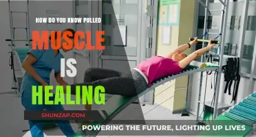 Signs Your Pulled Muscle is Healing: Recovery Progress Indicators