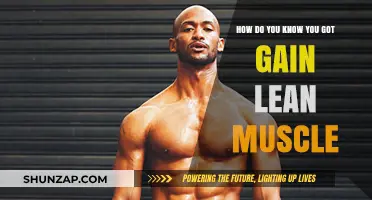 Signs You're Building Lean Muscle: Key Indicators to Look For