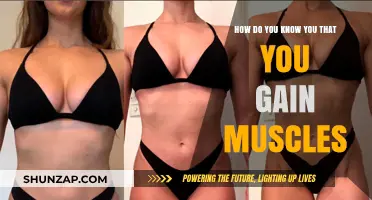 Signs You're Building Muscle: Tracking Progress and Visible Results