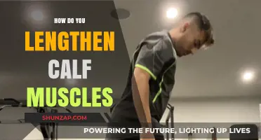 Effective Exercises to Lengthen and Strengthen Your Calf Muscles